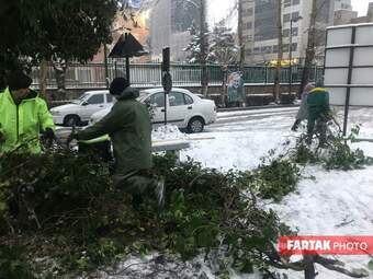 برف در تهران