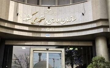 سقف حقوق و مزایای کارمندان قراردادی مشخص شد+سند
