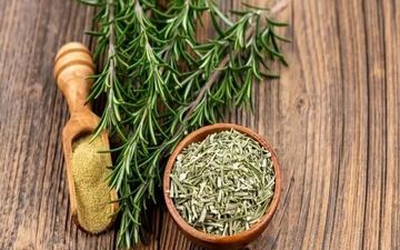 با این گیاه جای زخم ترمیم می‌شود و پوست بهبود می‌یابد