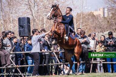 همایش نوروزی سوارکاری در نهاوند به روایت تصویر