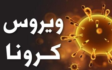 سازمان ملل درباره قحطی در جهان هشدار داد
