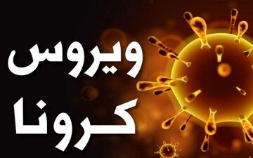 سازمان ملل درباره قحطی در جهان هشدار داد
