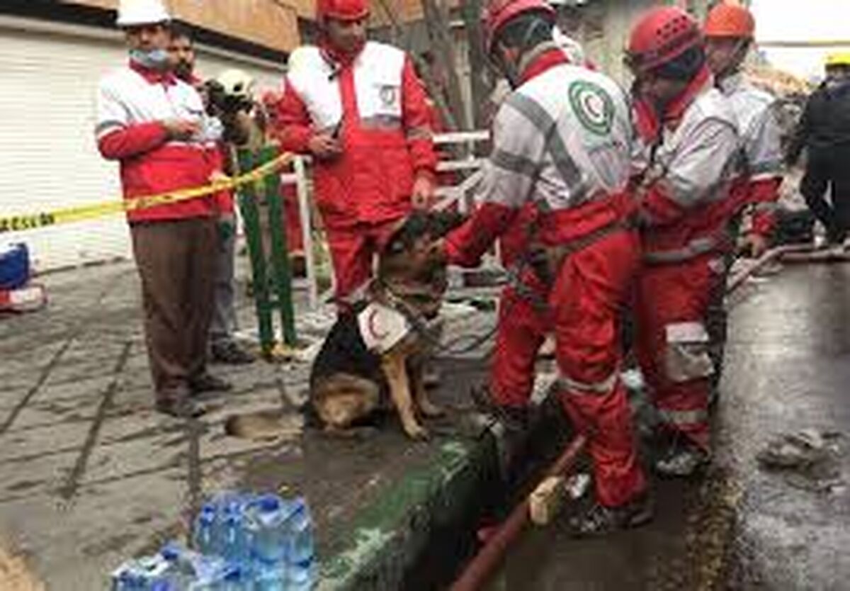پایان عملیات جستجو در جنوب و شرق ساختمان پلاسکو