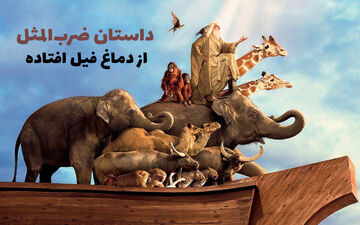 داستان جالب و قدیمی ضرب المثل از دماغ فیل افتاده!

