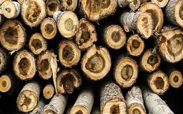 کشف 3 تن چوب‌آلات جنگلی قاچاق در ساری