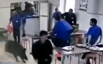 حمله  وحشتناک گراز به محل غذاخوری کارگران