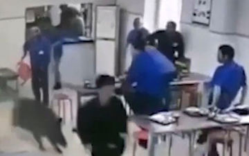 حمله  وحشتناک گراز به محل غذاخوری کارگران