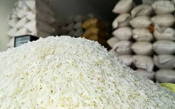 قیمت‌های جدید برنج هاشمی اعلام شد؛ کیسه ۱۰ کیلویی به ۵ میلیون و ۴۸۷ هزار تومان رسید