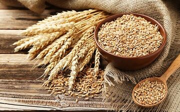 بهترین صبحانه برای کسانی که یبوست دارند چیست؟


