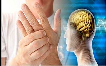 پروبیوتیک بخورید تا MS نگیرید