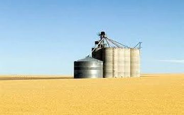 1.2 میلیون تن گندم در سیلوهای کرمانشاه ذخیره است