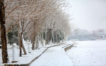بارش برف و یخبندان در ۴ استان