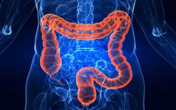اما دقیقا برای باکتری های روده چه نخوریم؟