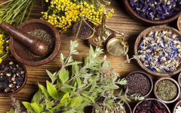 گیاهانی دارویی برای تقویت سیستم ایمنی بدن
