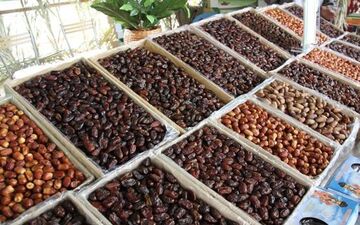تکرار یک اشتباه / وضع دوباره عوارض برای صادرات خرما ‌
