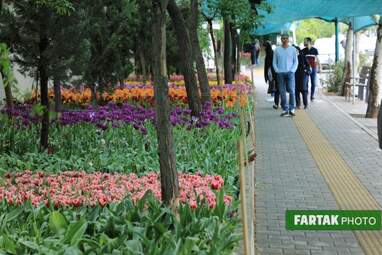 گزارش تصویری از پیاده راه لاله برای مادران 