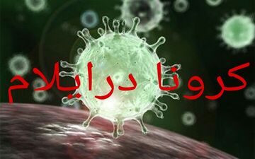 افزایش تعداد مبتلایان به بیماری کرونا در استان به ۲۴۶ مورد