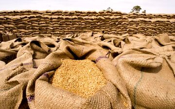 قیمت خرید تضمینی گندم تعیین شد