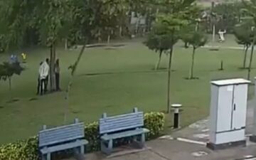 لحظه برخورد مرگبار رعد و برق به چهار باغبان + فیلم 