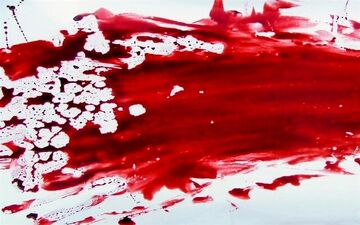 قتل جوان شادگانی توسط اغتشاشگران