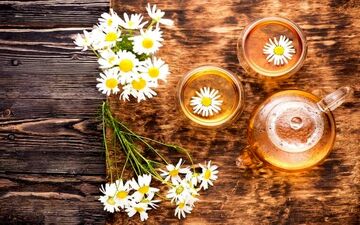 بهترین دمنوش ها برای روزه داران