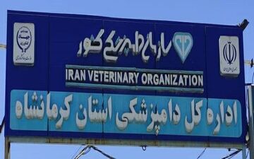 
صدور گواهی حمل مرغ زنده کشتاری به بخش خصوصی واگذار شد