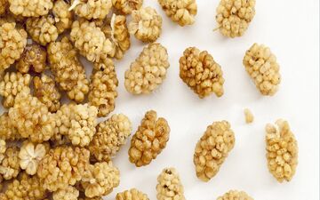 از فواید توت خشک چه می دانید؟
