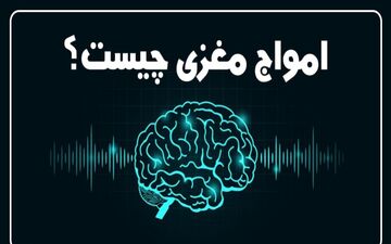 توضیحاتی در مورد امواج مغزی انسان : بتا ، آلفا ، تتا و دلتا