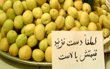 فروشندگان:لطفا دست نزنید، گران است!/ خرید میوه شاید وقتی دیگر