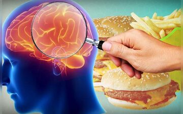 چاقی فقط به پرخوری ربط ندارد! نقش مغز در افزایش وزن