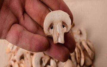 فواید قارچ برای آقایان