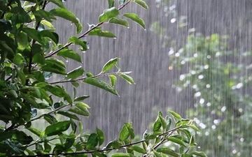 
بارش باران در اغلب مناطق کشور