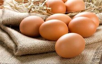  خرابکاری در صادرات تخم‌ مرغ