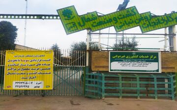 توسعه کشت قراردادی دانه های روغنی در مازندران
