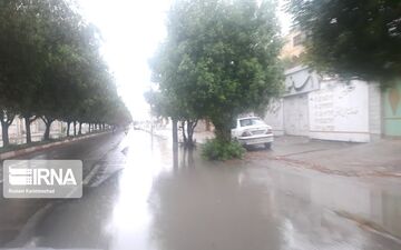 بارش همرفتی تابستانه در جم و دشتستان بوشهر گزارش شد