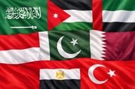 بیانیه مشترک ۸ کشور عربی و اسلامی درباره غزه؛ تضعیف آتش‌بس با تجاوزات اسرائیل