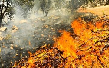 آتش‌سوزی در فضای سبز بلوار وکیل‌آباد مشهد مهار شد

