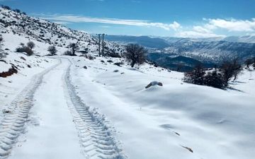 
بارش برف مدارس نوبت صبح ایلام را تعطیل کرد