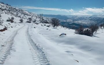 
بارش برف مدارس نوبت صبح ایلام را تعطیل کرد