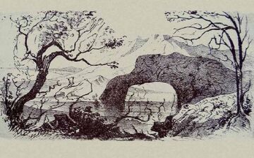 تست هوش/ آیا می‌توانید ۱۱‌حیوان پنهان شده در تصویر را پیدا کنید؟