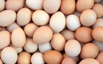 رازهای ناگفته تخم مرغ محلی/ از اسطوره درمان کم خونی تا واقعیت علمی