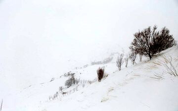 خانوارهای عشایری گرفتار در برف کوهدشت نجات یافتند