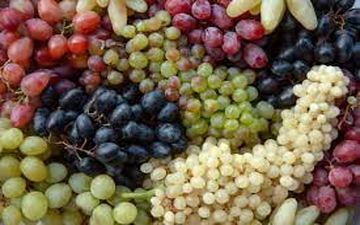 با این میوه تا 120 سالگی سالم عمر کنید 