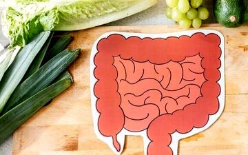 این۶ خوراکی دوست روده هستند!
