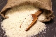  خبر جدید درباره بازار برنج/ حسامی: بازار هنوز افزایش قیمت شدید و خارج از کنترل نداشته است 