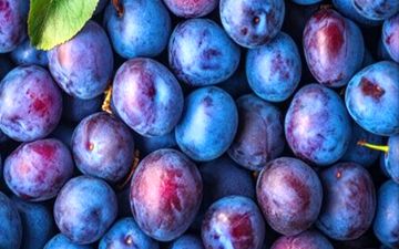 فواید بی نظیر آلو سیاهرنگ برای بدن

