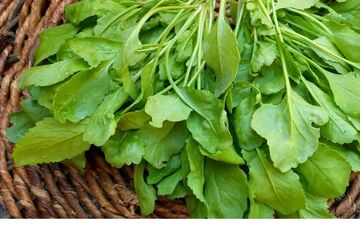 با خوردن این سبزی از ابتلا به آسم و سرطان جلوگیری کنید