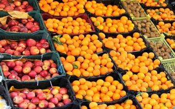 عرضه ۶۰ هزار تن سیب و پرتقال تنظیم بازار برای شب عید
