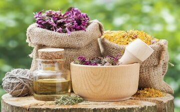 گیاهان دارویی معجزه‌آسا: راهکار عالی برای جلوگیری از ریزش مو بدون حساسیت