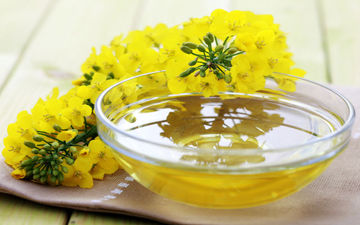  خاصیت‌های بی نظیر روغن کلزا که شاید ندانید